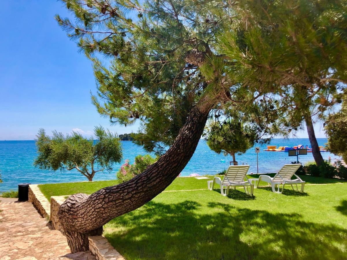 Al Mare Rovigno
